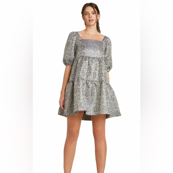 Moon River Dresses & Skirts - Anthropologie Moon River silver damask dress size M